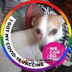 Meet your Posher, Joyce